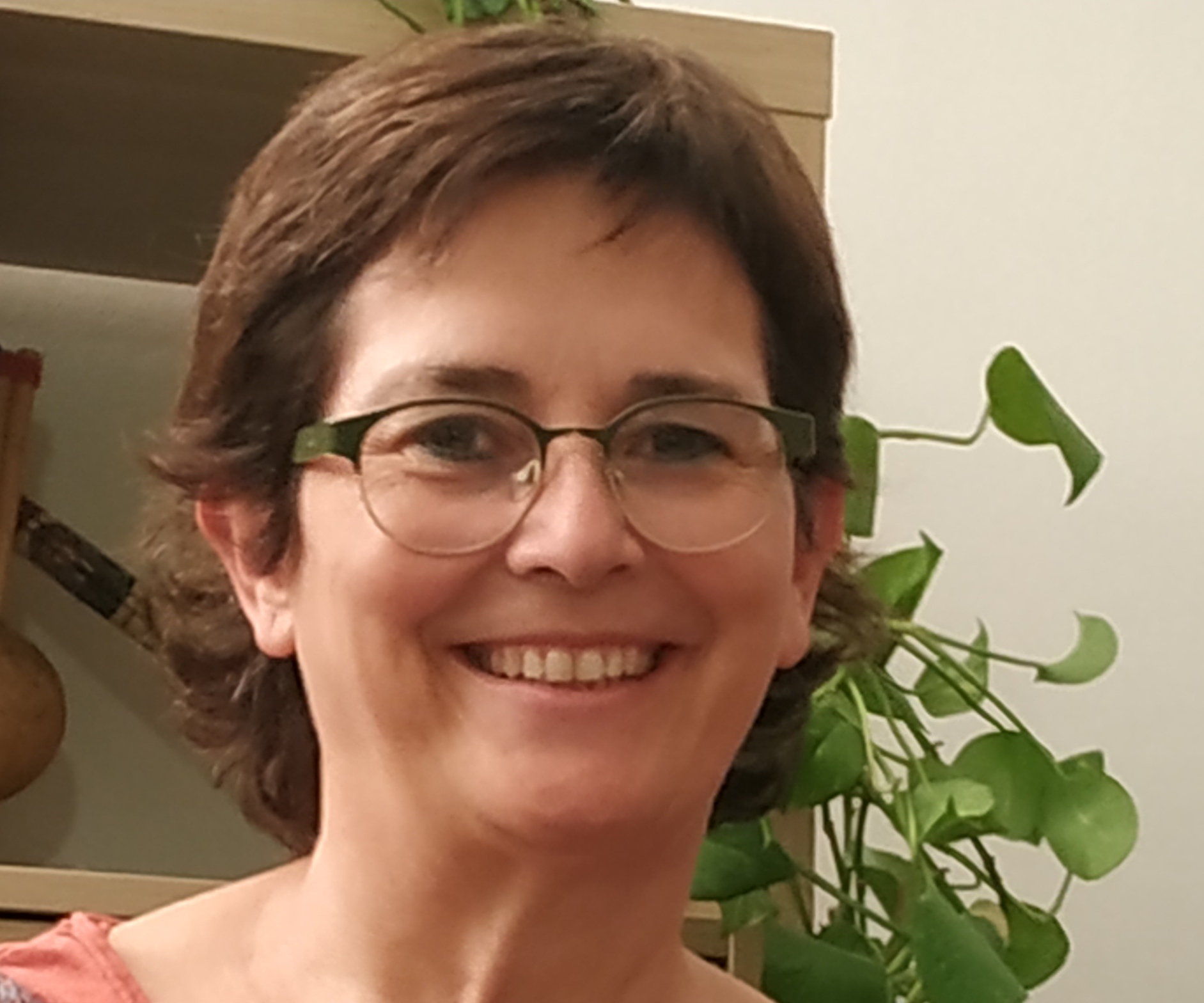 Agnès Vallvé